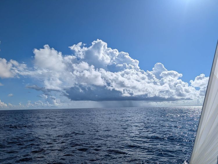 Voyage photo from 2025 Salty Dawgs Rally - Leg 2