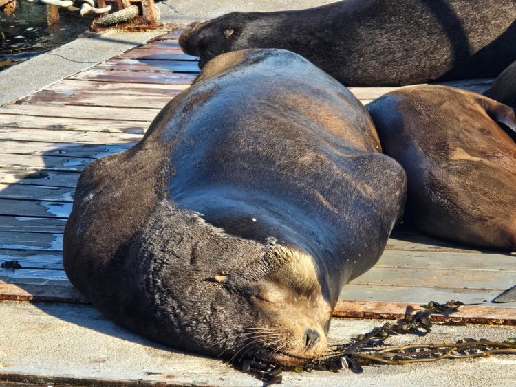 Voyage photo from emb with Bret on 699