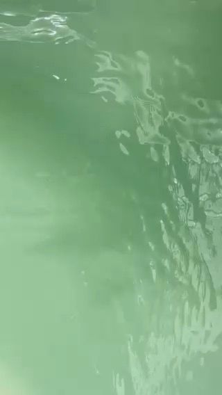 Voyage photo from Iyt Yachtmaster Sail Catamaran Training-2