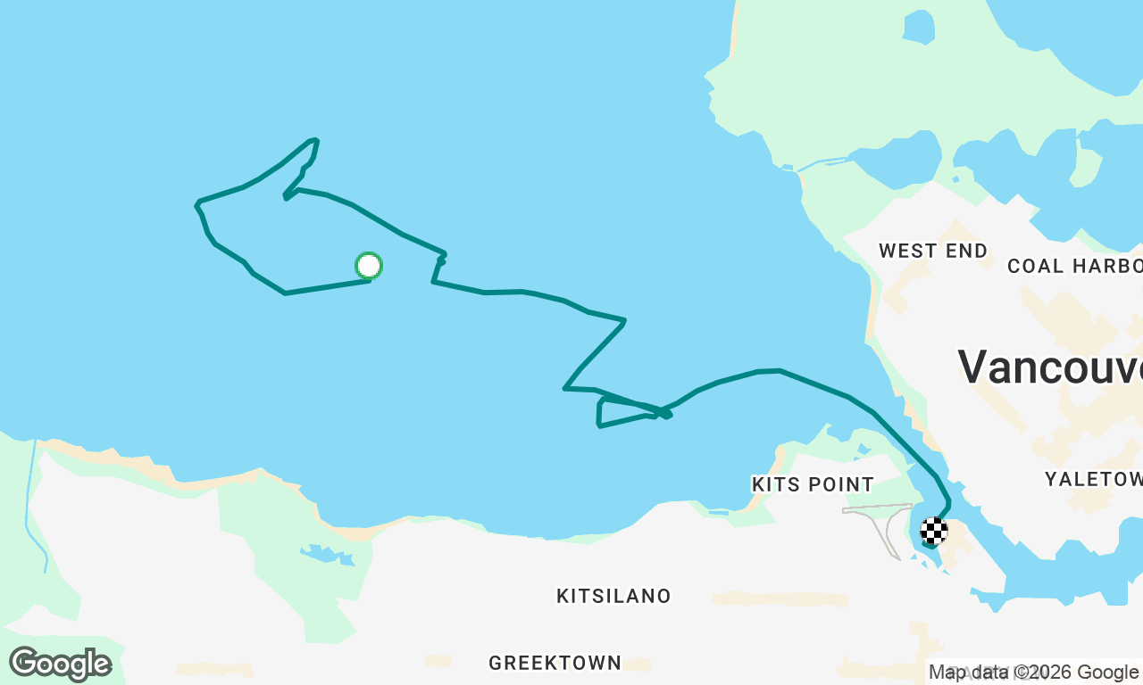 The storm cruise 