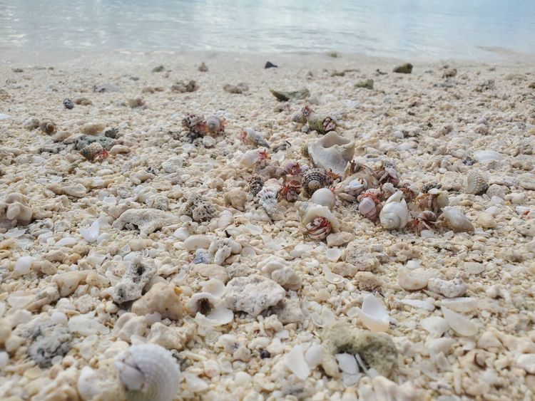 Voyage photo from Bora Bora-Maupiha'a
