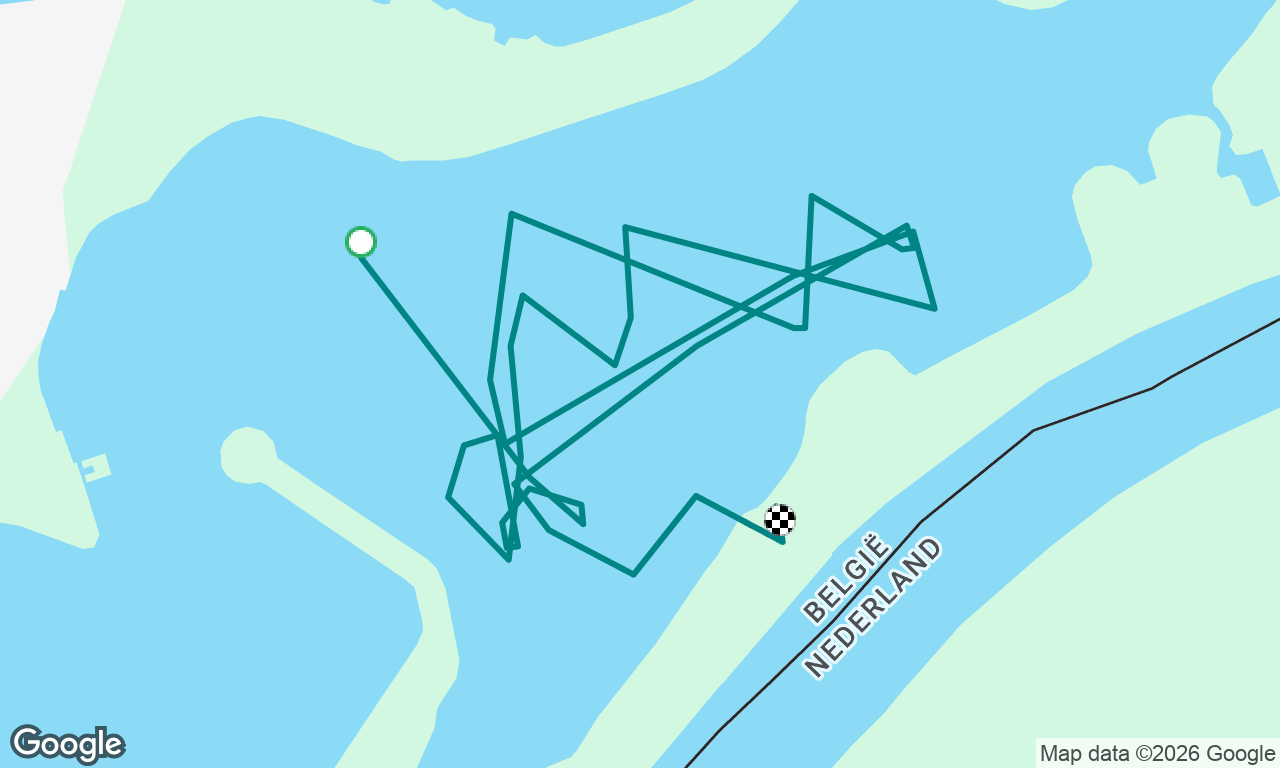Pink Regatta - 2nd place