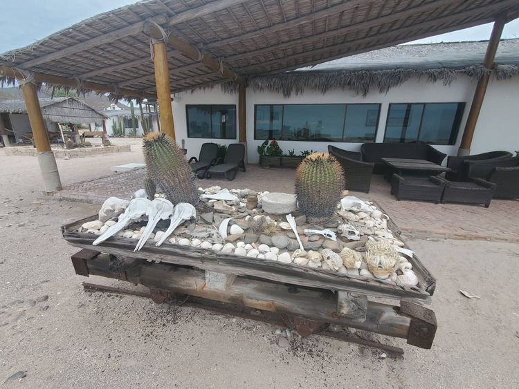 Voyage photo from Bahia de Salinas - Loretto (provisioning run)