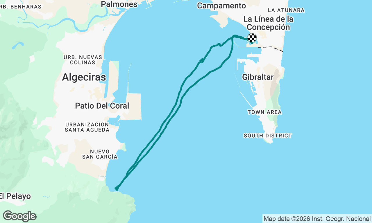 Dolphins trip