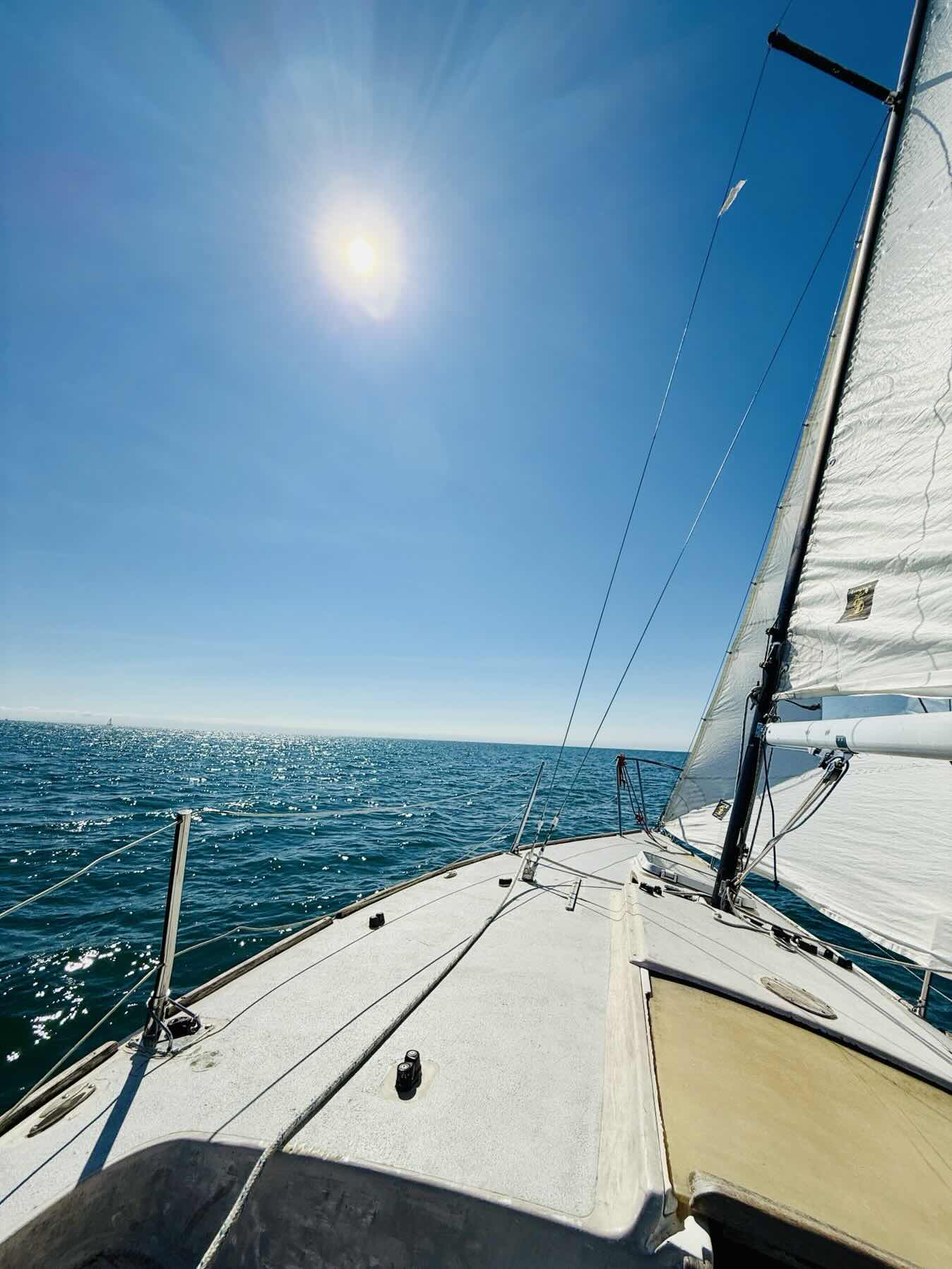 Friday Maté Sail_0ADB4A0E-FEFF-4000-8BDE-3FE589FBDBA8