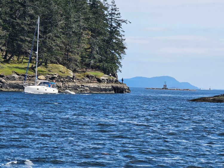 Voyage photo from 