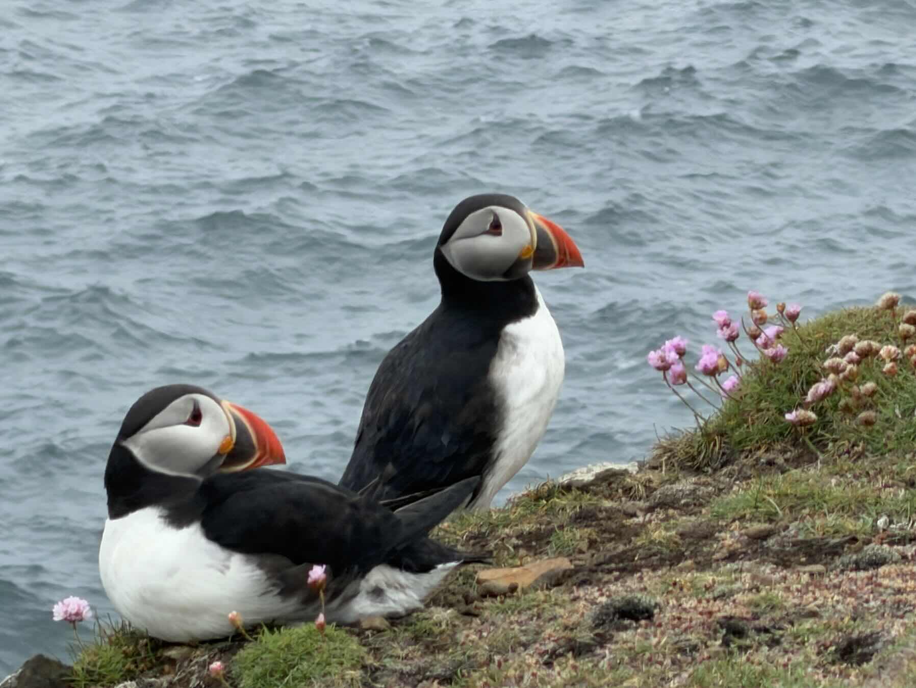 Small Isles_8F90B3A8-0FB2-465C-9FAC-703FEBF50931
