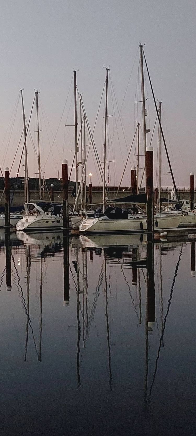 Voyage photo from 