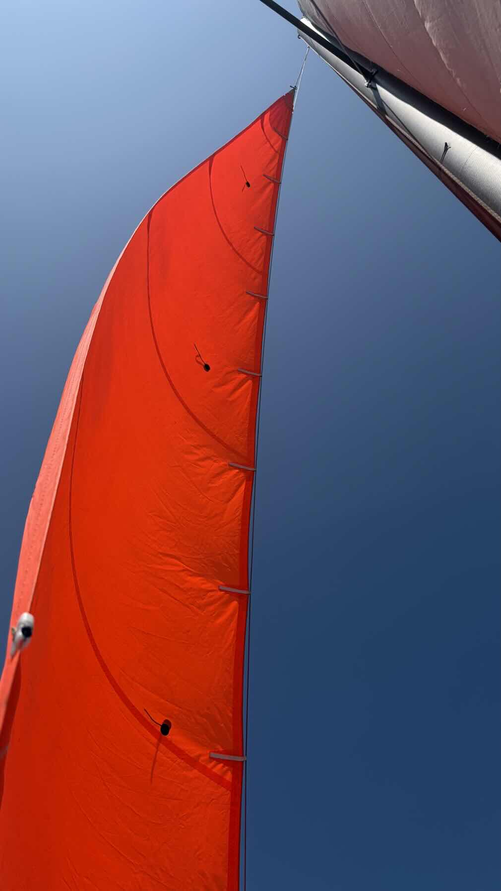 Smart Sail_8E5D1602-D9A1-4203-A997-5A12E05CDE6C