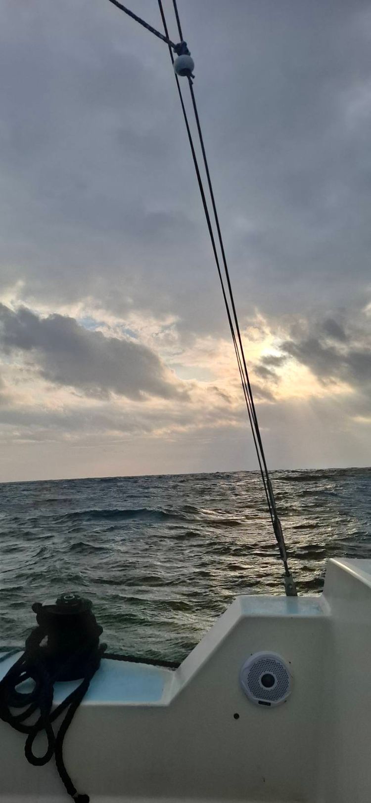 Voyage photo from Endeavour 5