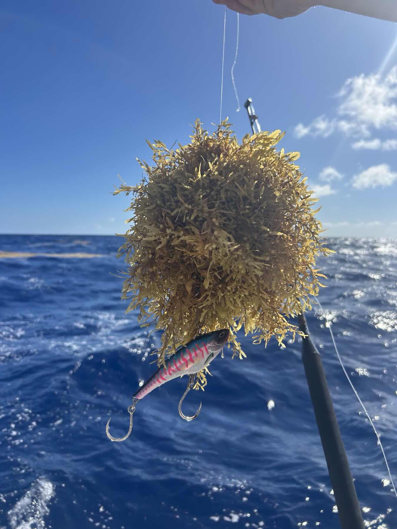 Cabo Verde to St-Lucia _A6C8518A-9C0E-4BEB-B0C4-766420EABA56