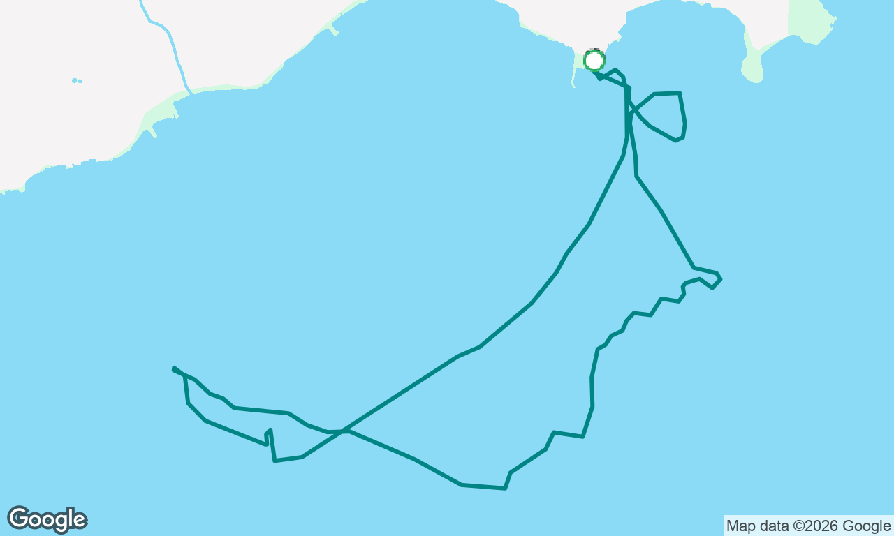 Dernière sortie avec Shark
Swen Voile