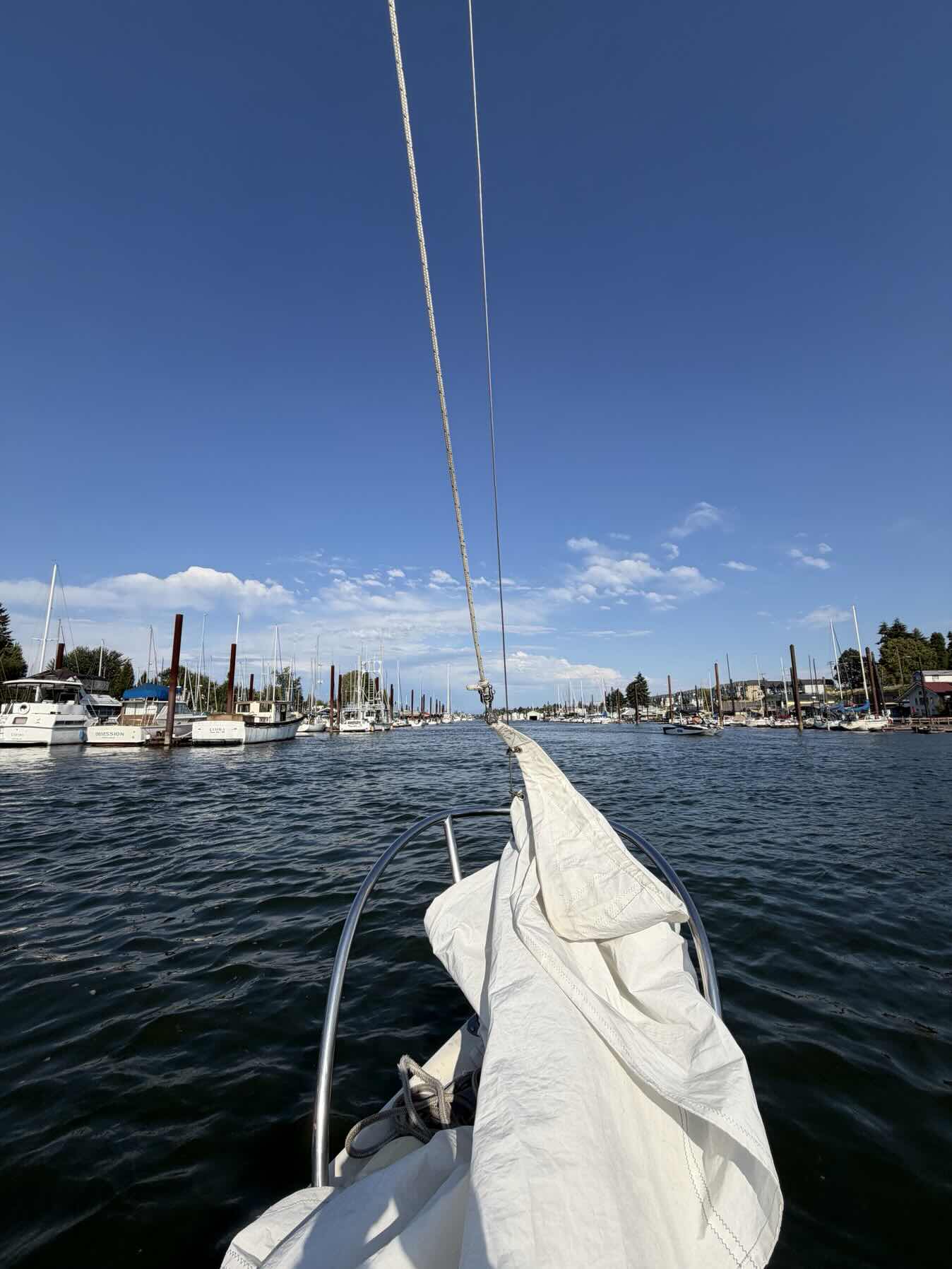 Wednesday Night Sail_AA31F28A-5D2D-49BC-956F-DDA54C5530FA