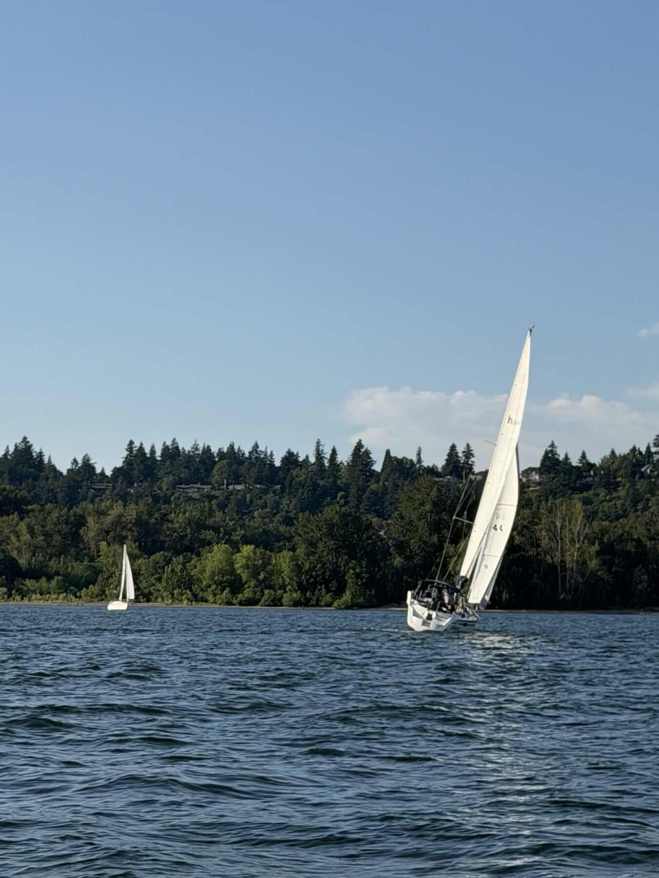 Wednesday Night Sail_BFC866AD-B272-4490-A43E-773C9AA2205F