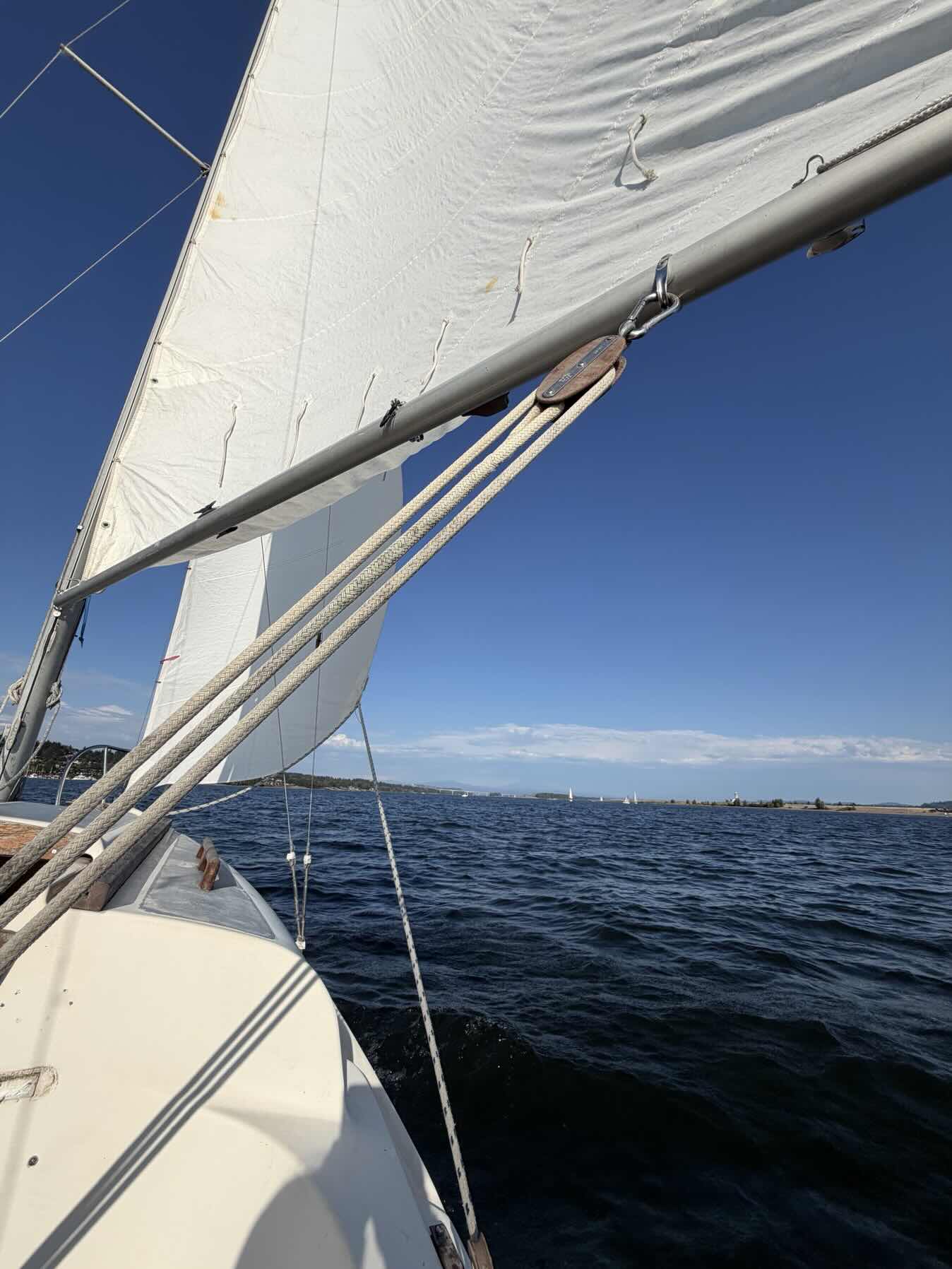 Wednesday Night Sail_F64DB84D-5BAF-4C94-8838-42624BC5024D
