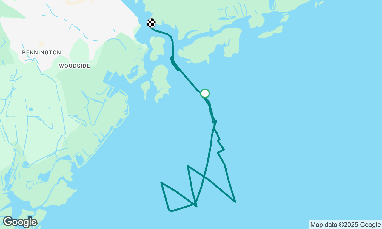 Optimistic rain dodging! 