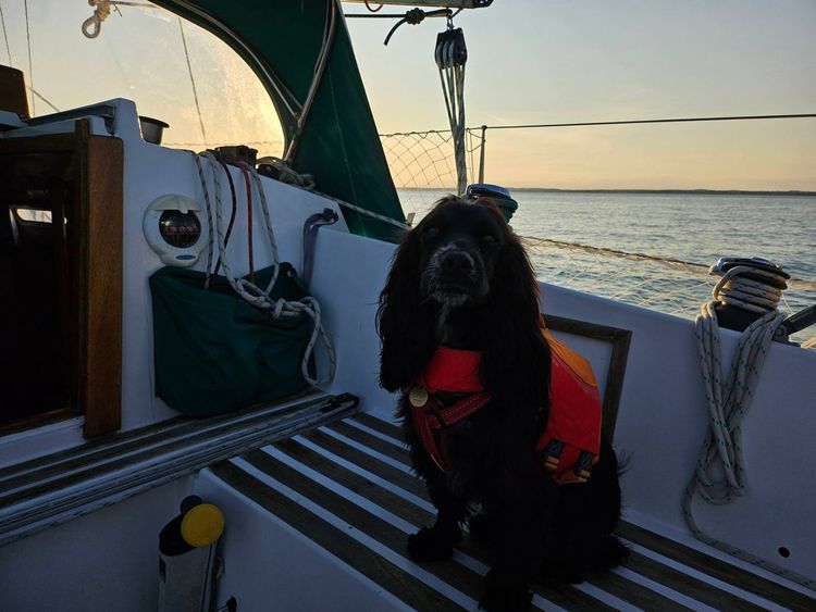 Voyage photo from 