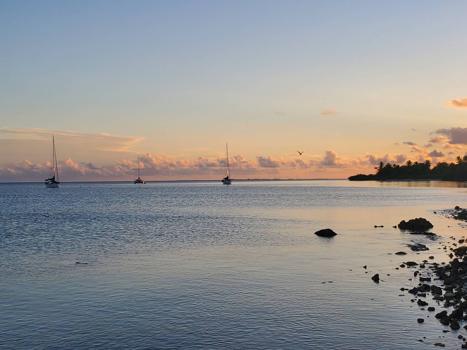 Tahenea NW - Crescent Bay, Tahenea Tuamotus _088284E5-D5C3-4C6C-B126-C631CFB44812