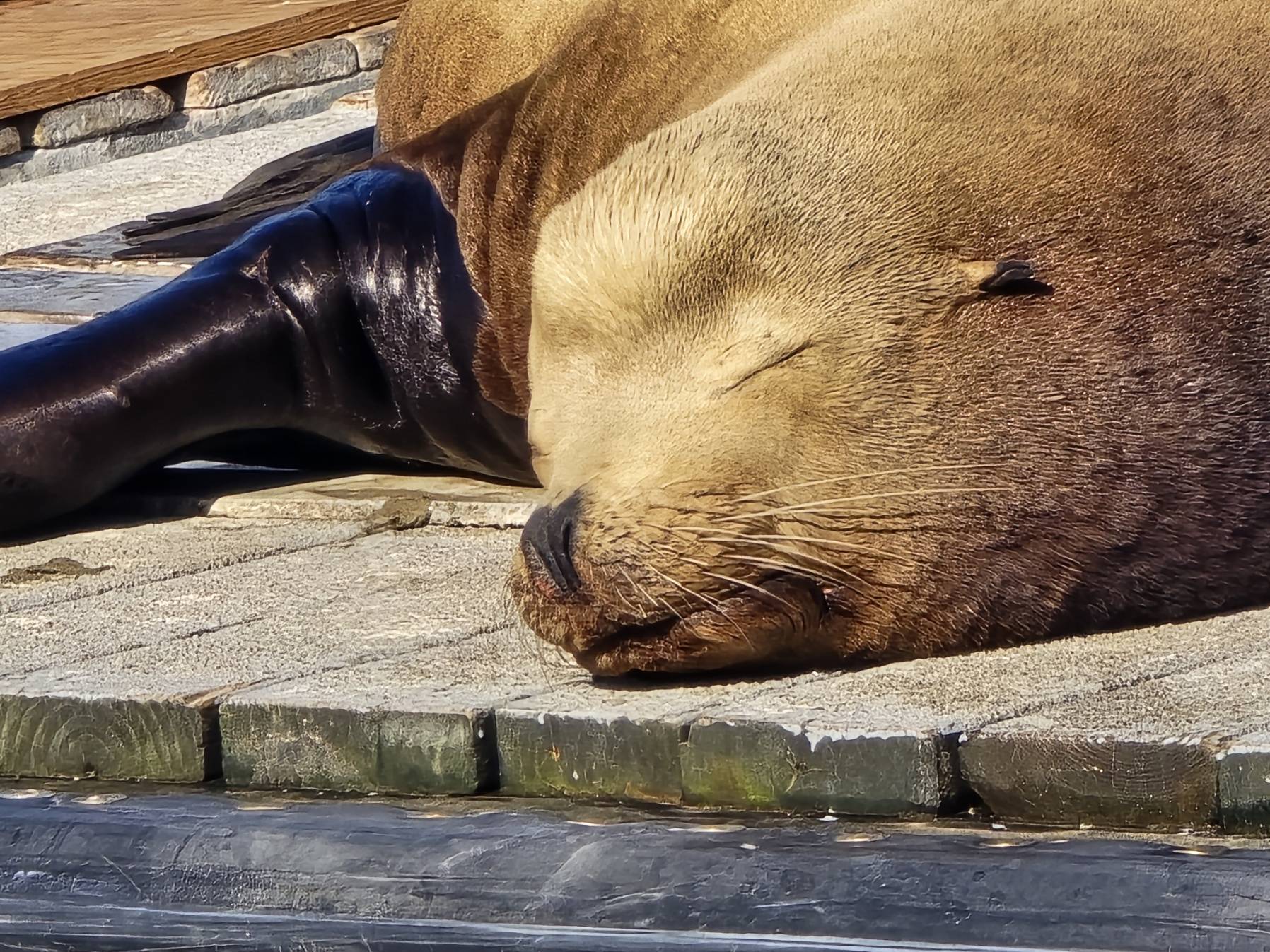sp4 with JJ on 664_7DBA05B1-367D-4399-9D8B-01D1D176C251