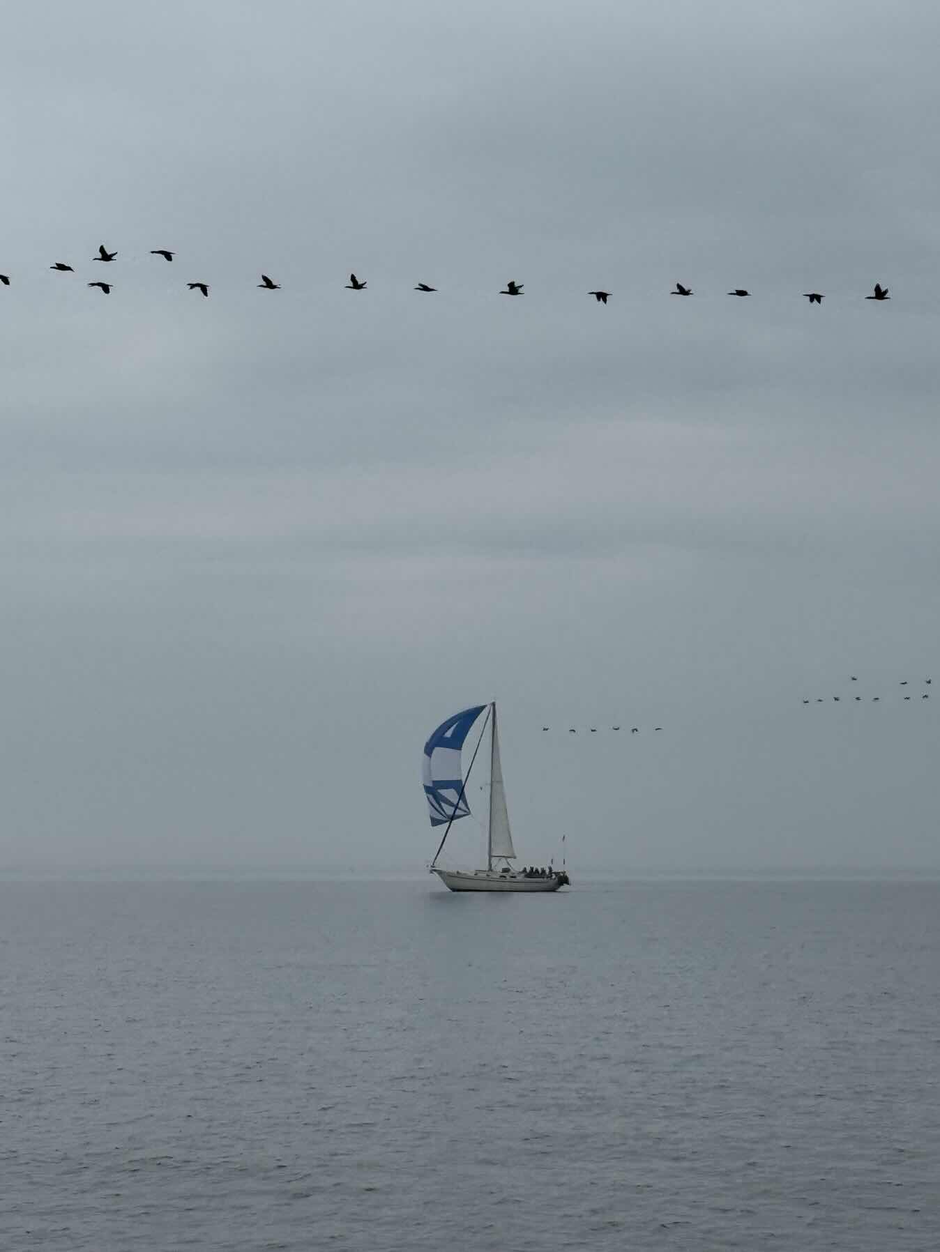Race to EYC_0D7B6782-5F79-425C-9A8C-835060A510D8