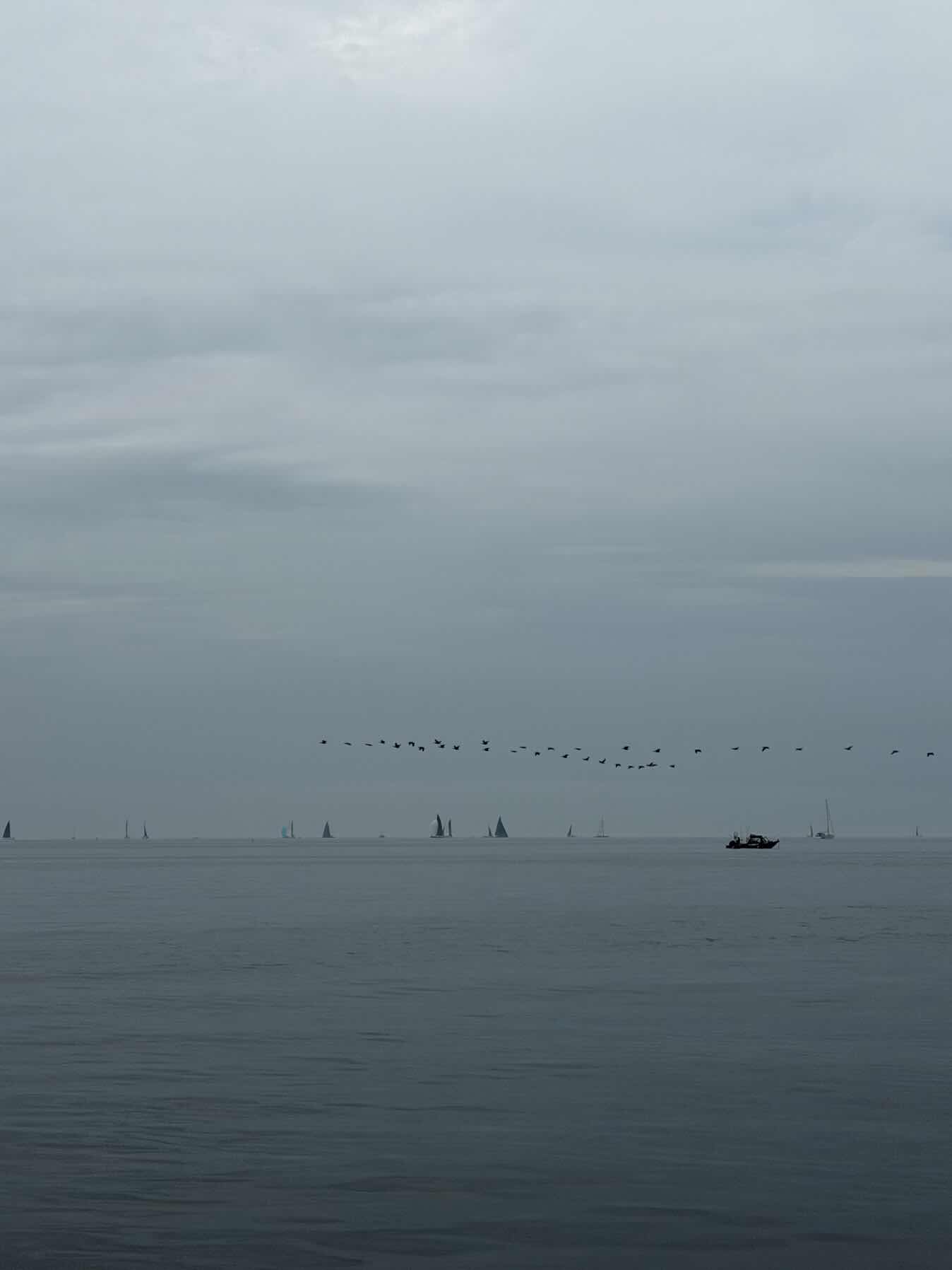 Race to EYC_F4B01519-A97F-4749-B8E4-B0CED99A32F7