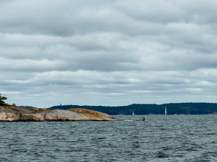 Voyage photo from Gruvbryggan