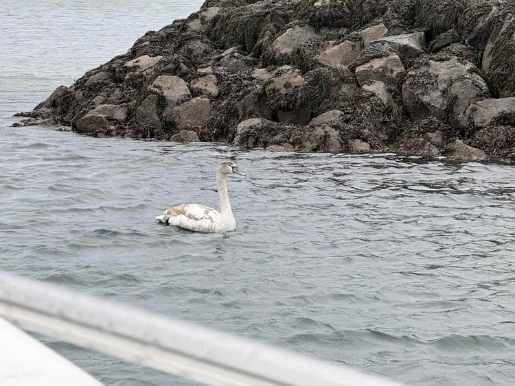 Voyage photo from A wee jaunt