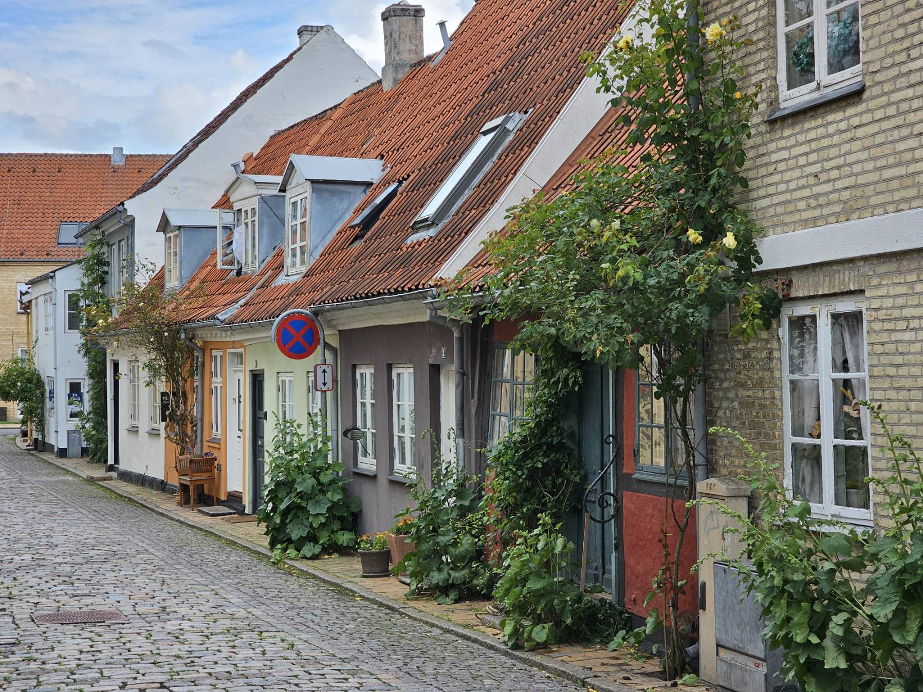 Denmark 2024 day 4_9EF1160B-7C83-427E-ACB9-BABF406C04F3