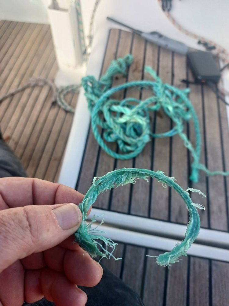 Voyage photo from freeway travels north