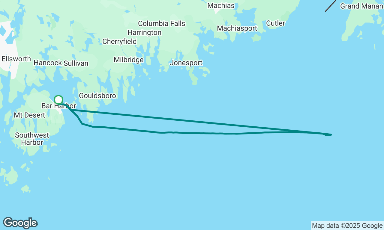 Whale watch