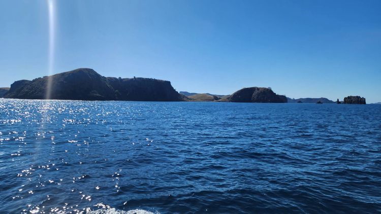 Voyage photo from Mercury Island to Cooks Beach