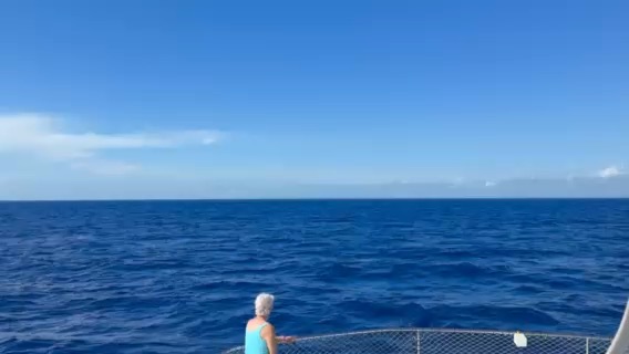 Fifth leg
_BF89D57C-F57C-4B32-A43C-A485170BA907