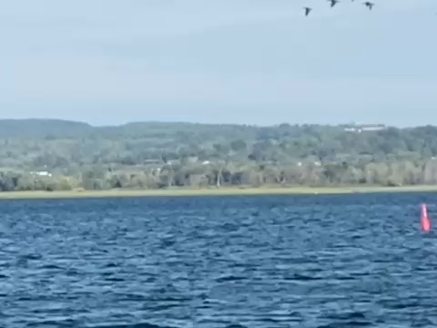 Its to beautiful here to fight the lake_480C1B14-3C1B-4180-9604-CBD386C3C32D