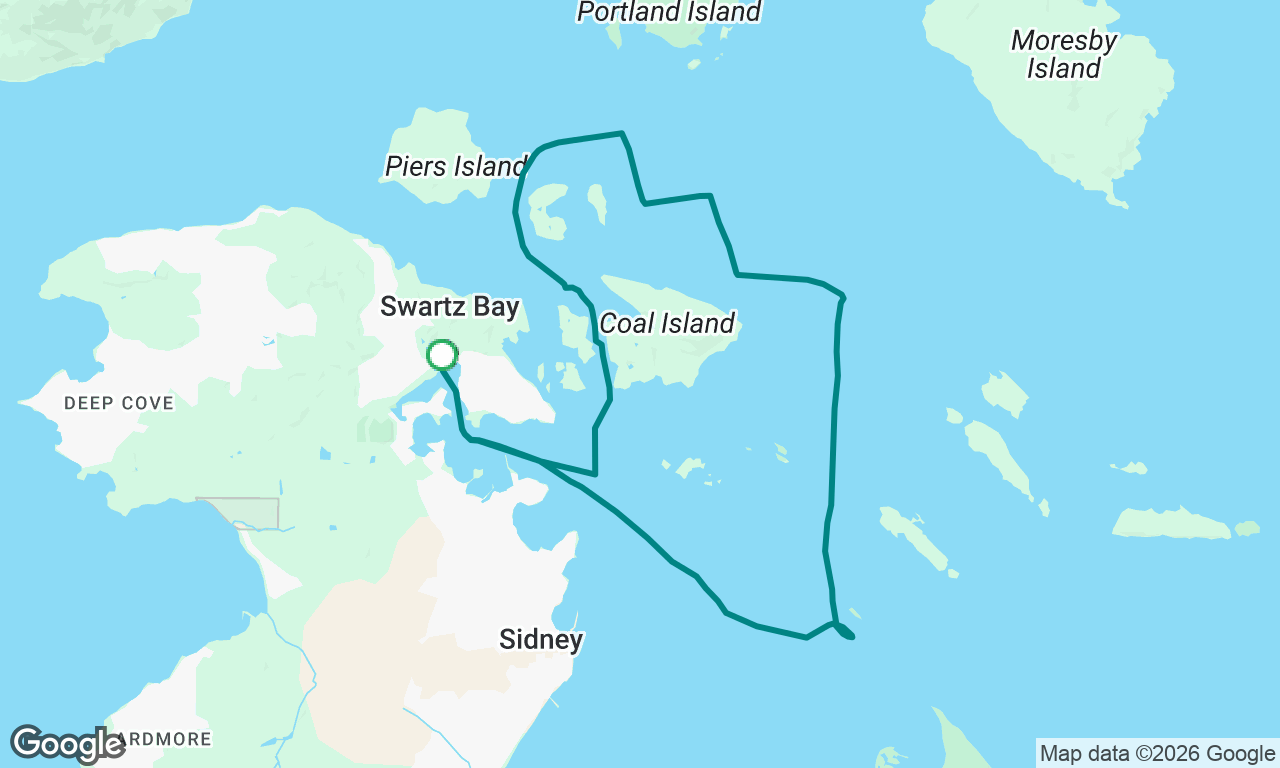 Afternoon Sail