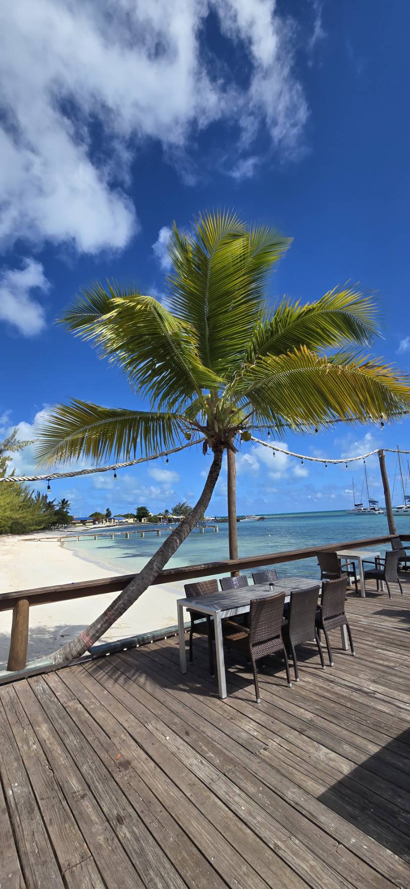 2025 BVI vacations Day 6_BB27CE7E-4577-46CC-B79B-093E043B3A4F