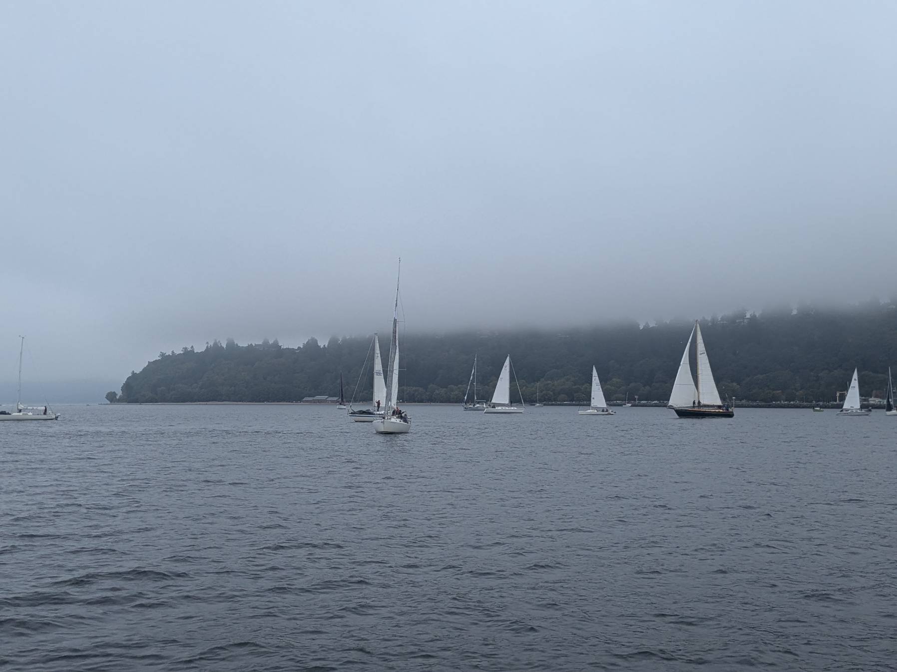 STYC Fall Regatta #1_406EC9BC-CD9C-4F84-9EAE-9615858C4863