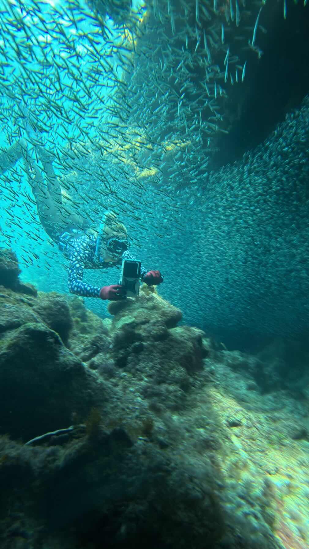 Green Turtle to outside reefs off of Manjack _0E436EDD-815B-4689-AA89-23EADFEED247