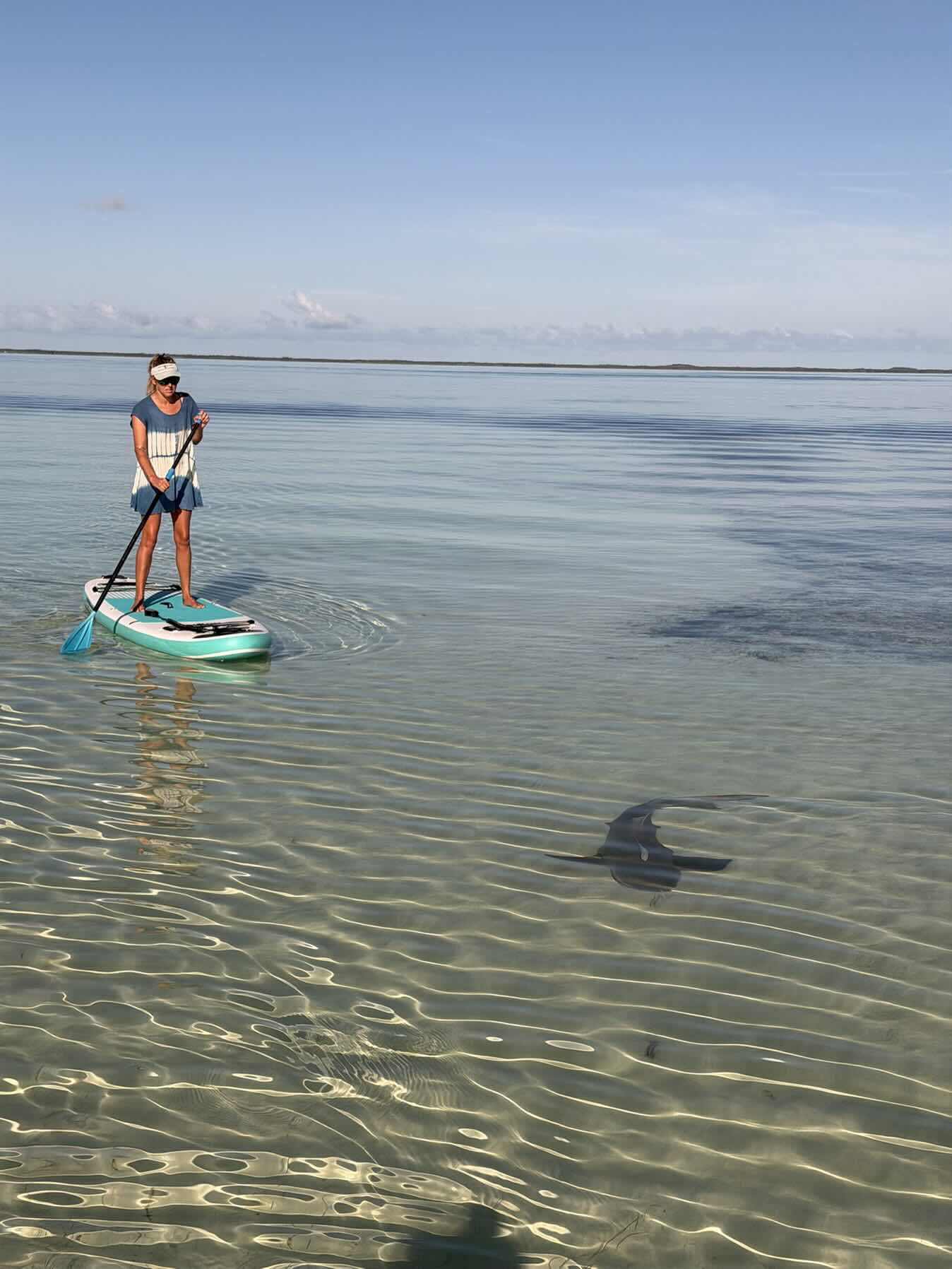 Green Turtle to outside reefs off of Manjack _E4AD00A1-B673-46BE-BD5F-94DBA07255F4
