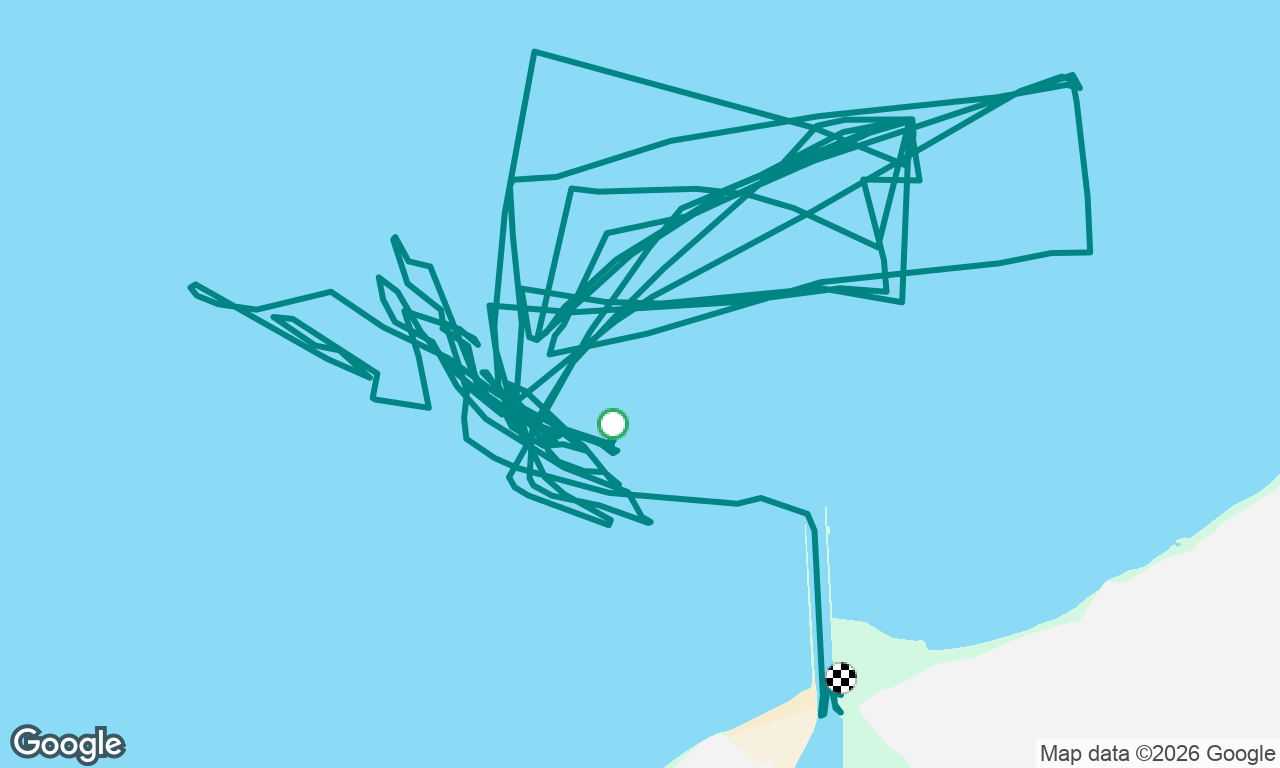 Cornucopia Regatta