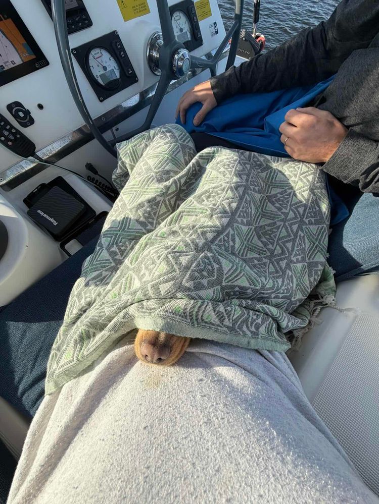 Voyage photo from Hubert Bridge to Sebastian Inlet State Park. 