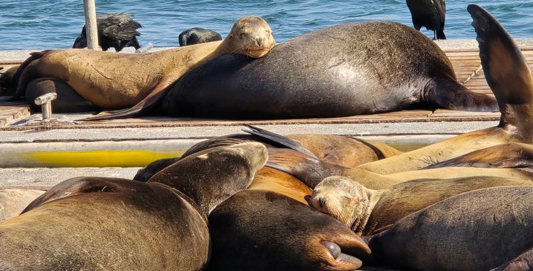 Voyage photo from sp5 with JJ on 663