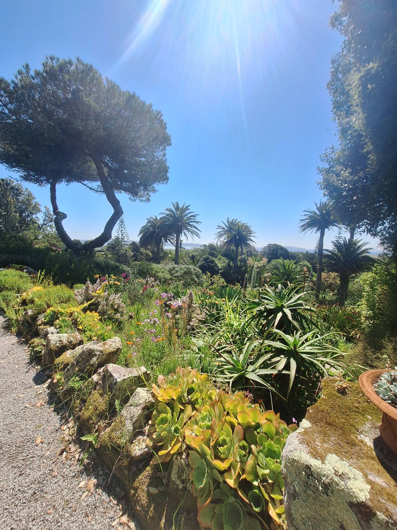Moving to Tresco_F48BDBEC-9670-410D-BF40-18E887268636