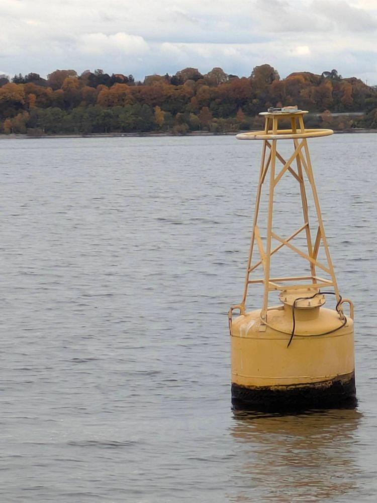 Voyage photo from A quick sail before work (last of the season 🥺)