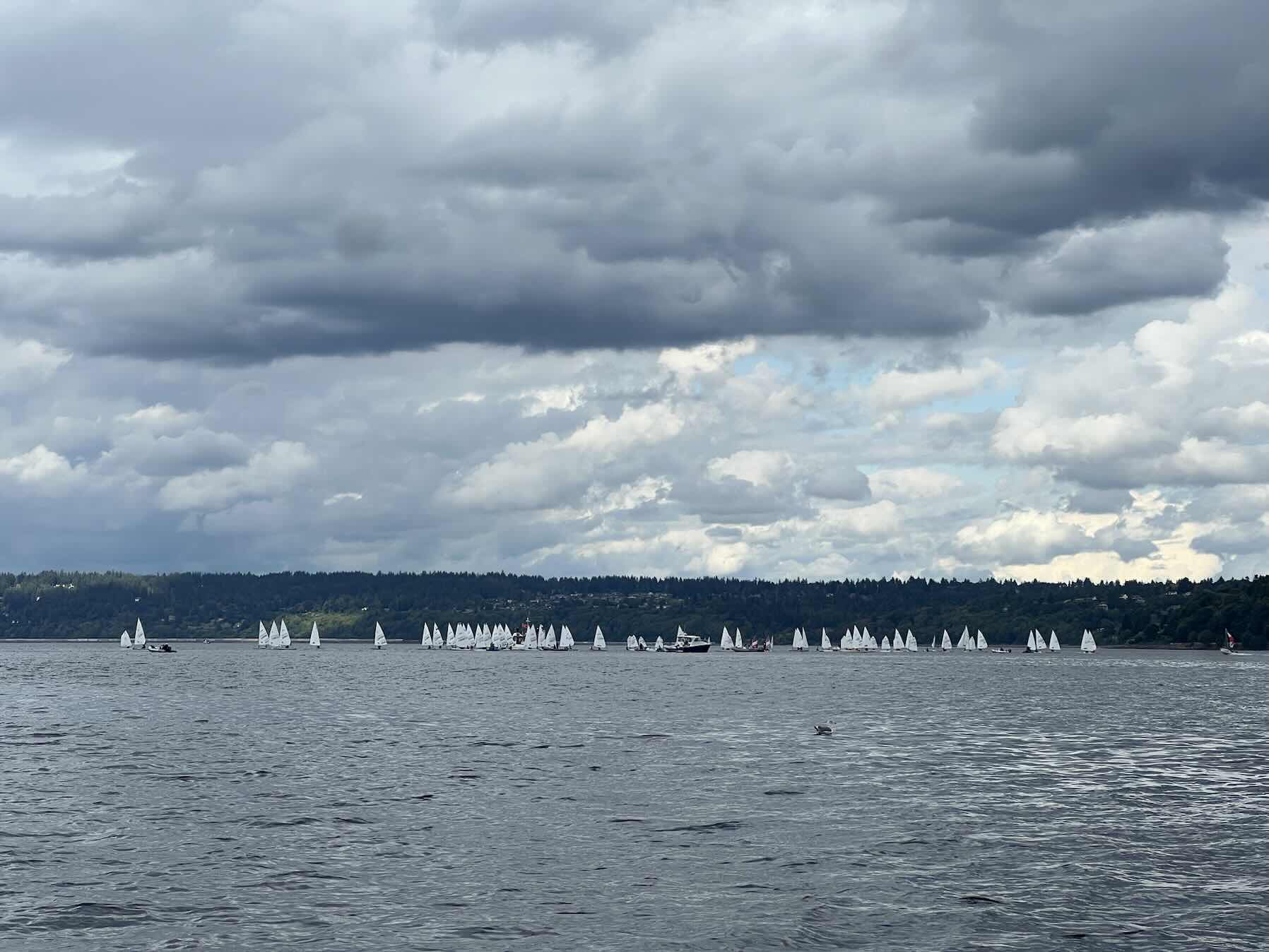 Sat sail_020A6504-F46A-41B3-A277-DCDA5B23785B