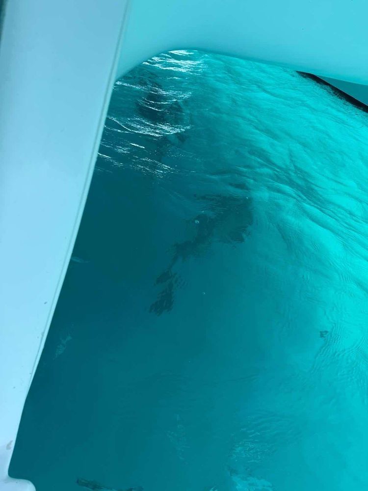 Voyage photo from Dry Tortugas, Fl to Golfo de Guanahacabibes at Canal de los Barcos, Cuba