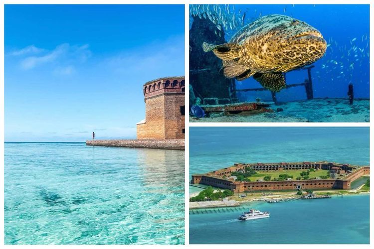 Voyage photo from Dry Tortugas, Fl to Golfo de Guanahacabibes at Canal de los Barcos, Cuba