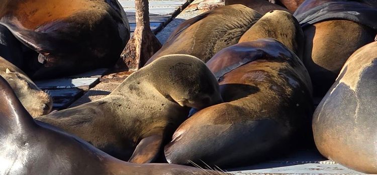 Voyage photo from sp2 with Kim on 648