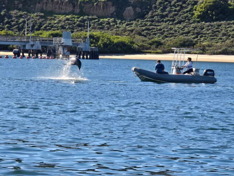 Voyage photo from sp2 with Kim on 648