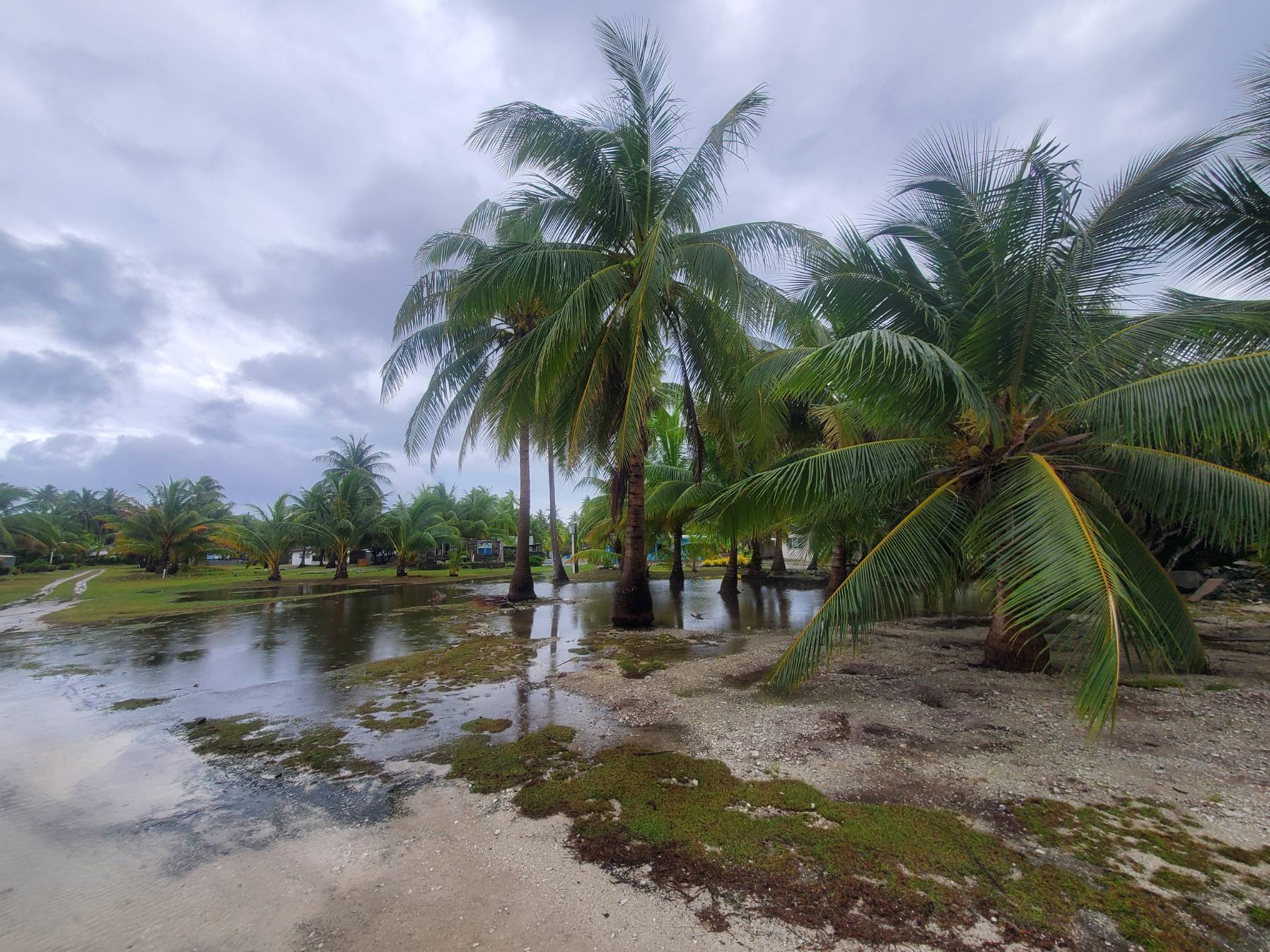 Penrhyn - Niue _91CE5BD6-143D-498F-AB41-6307077286B3