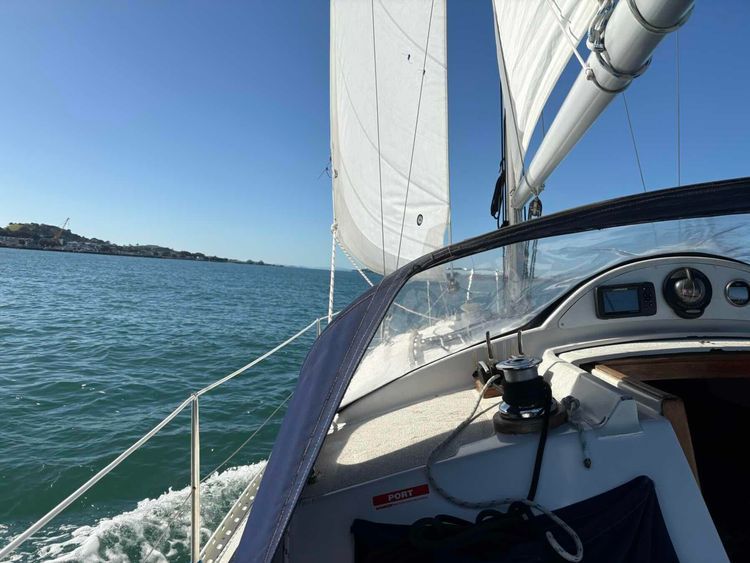 Voyage photo from Great Escape Auckland Day Sail